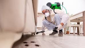 Reliable Crescent City, FL Pest Control Solutions